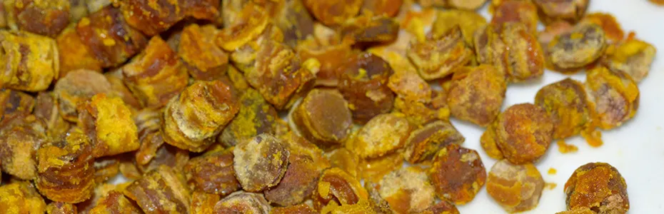Perga granule